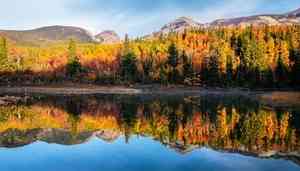 最是想念的季節:珍藏霜降之美 深秋平補養生有道