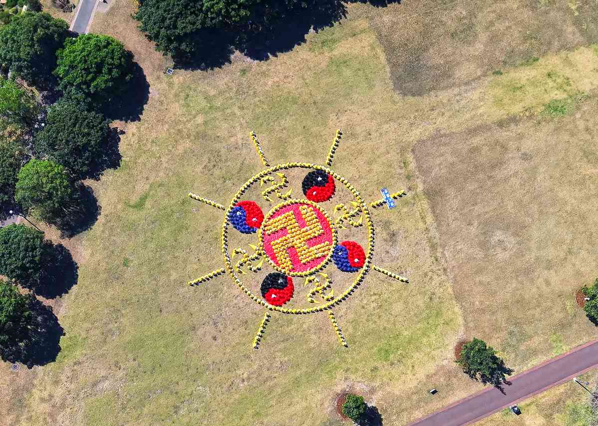 2025年10月11日,近七百名澳洲法輪功學員在悉尼水濱公園Jubilee Park排出法輪圖形。(陸浩/大紀元)