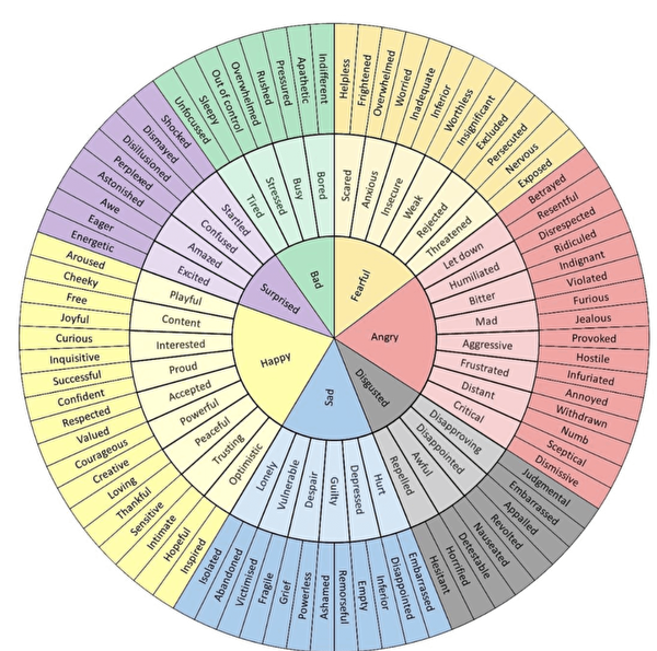 此為情緒輪的一種，圖中間是主要情緒，中間圓是次要情緒，最外圈是引出情緒的緣由。（Sydtomcat/維基百科）
