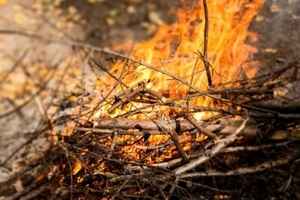 【名家專欄】如何減少兩萬億美元聯邦預算?