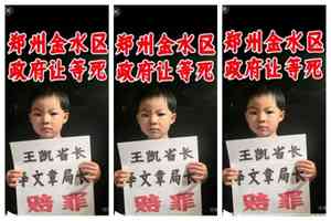 因冤假案致貧 河南劉紅霞要相關官員賠罪