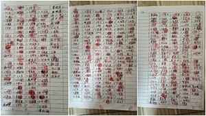 河南洛陽政府強徵土地 村民維權遭打壓