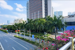 華僑回國觀察：街頭空蕩蕩 物價低到離譜