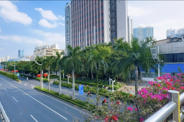 華僑回國觀察：街頭空蕩蕩 物價低到離譜