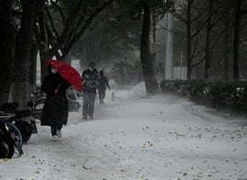 受寒潮影響 廣西1.2萬餘戶居民遭遇停電