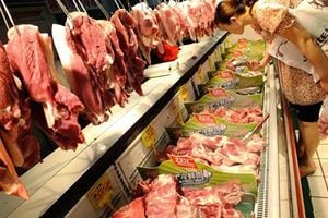 中國豬肉價或飆升70% 生豬量降至20年最低