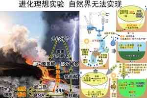 進化騙局（18） 進化實驗 假冒自然