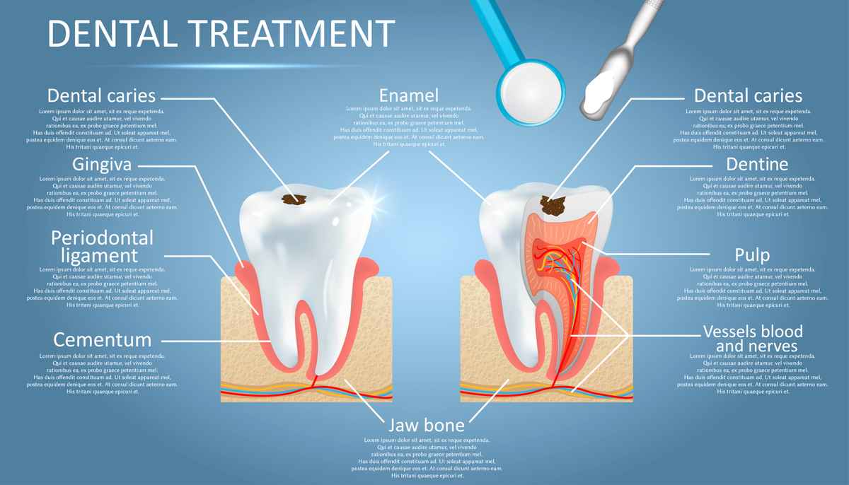 牙齒健康維護示意圖。（Shutterstock）