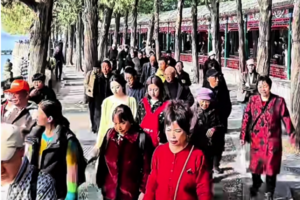 北京遊客5天刷證15次 民嘆猶如戴電子鐐銬