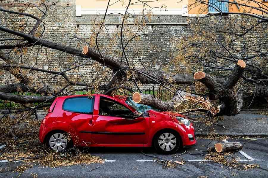 強風暴橫掃法國南部 約90萬戶停電（多圖）
