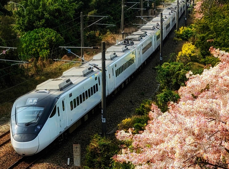 火車與花旗木同框 台攝影師：聯想到阿里山美景