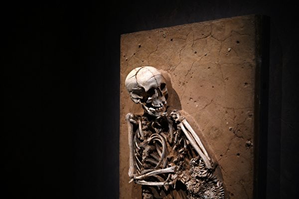 2022年2月14日，英國倫敦，大英博物館（The British Museum）將舉行「巨石陣世界」（The World of Stonehenge）展覽。圖為一具在德國溫農根（Wennungen）發現的人類遺骸，年代約介於公元前2,575年至公元前2,450年之間。（Daniel Leal/AFP）