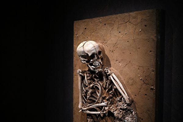2022年2月14日,英國倫敦,大英博物館(The British Museum)將舉行「巨石陣世界」(The World of Stonehenge)展覽。圖為一具在德國溫農根(Wennungen)發現的人類遺骸,年代約介於公元前2,575年至公元前2,450年之間。(Daniel Leal/AFP)