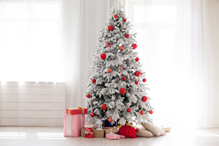 整株白色或綠中帶白的聖誕樹給人寧靜的感覺。（Shutterstock）