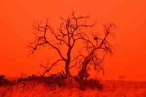 熱帶氣旋逼近 西澳鯊魚灣天空變血紅色