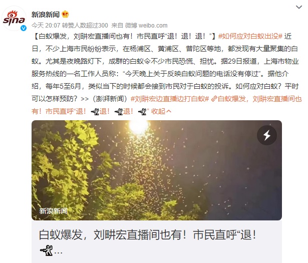「上海白蟻」上熱搜 居民稱「白蟻搶先復工」