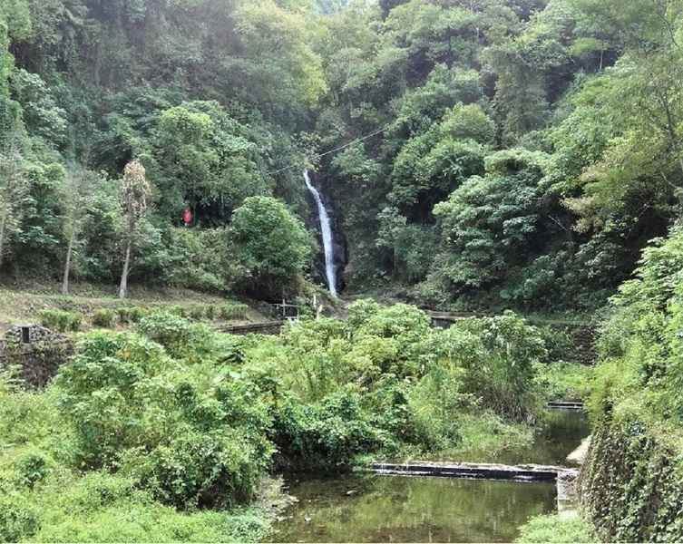 南台灣私房景點 涼山瀑布踏青 享受森林浴