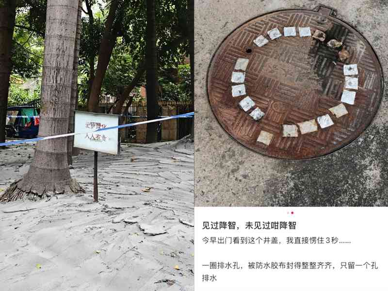 水泥封綠化帶 膠布封排水孔 廣州滅蚊再惹議