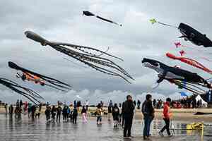 【圖輯】法國國際風箏節 「巨鯨」等造型都上天