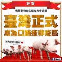 台灣改列口蹄疫非疫區 下半年生豬恢復出口