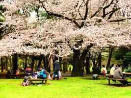  這個節氣為何稱清明？ 從天地人窺見內涵