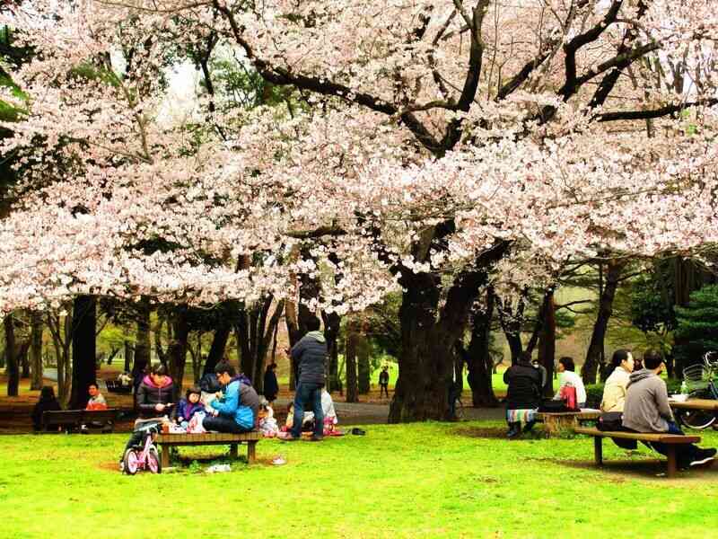  這個節氣為何稱清明？ 從天地人窺見內涵