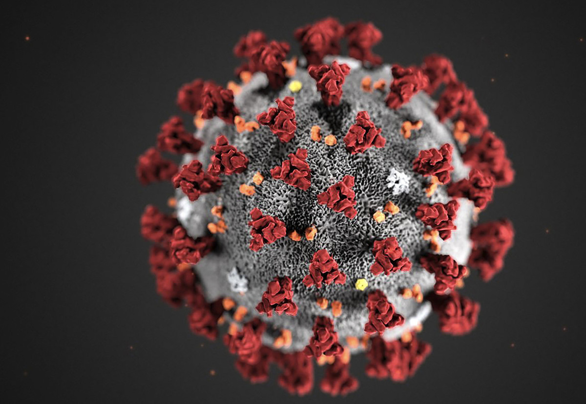 去年武漢爆發中共病毒肺炎，世衛組織（WHO）正式命名為COVID-19，似乎應驗了大陸坊間「逢九必亂」之說。圖為美國疾控中心（CDC）於2020年2月26日公佈的中共病毒示意圖。（Lizabeth MENZIES4/CDC/AFP）