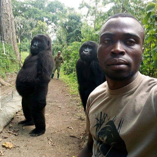 達卡希因為2019年的一張自拍照而爆紅。（Virunga National Park）