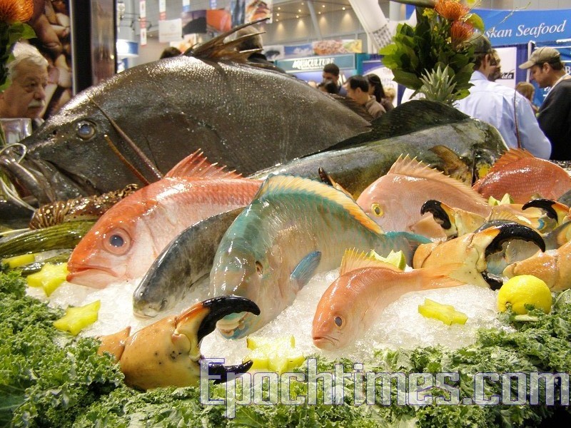 養殖魚真的比不上野生海鮮？專家有看法