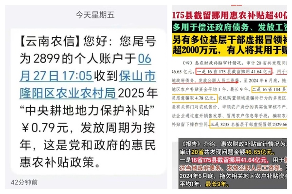 雲南保山農民收到0.79元耕地補貼 引關注