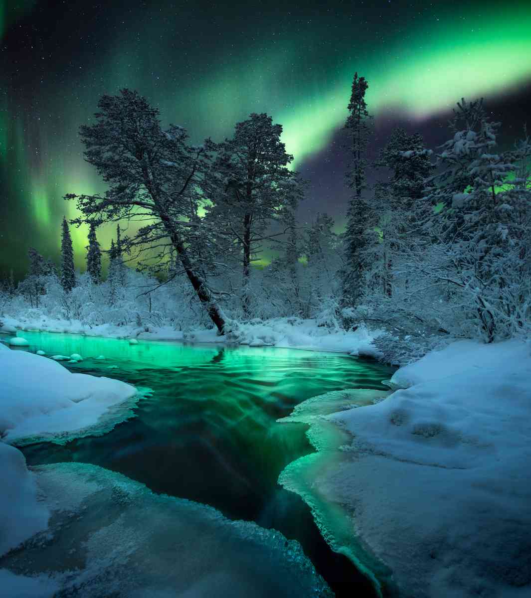 （Anastasia & Aleksey R via Capture the Atlas提供）