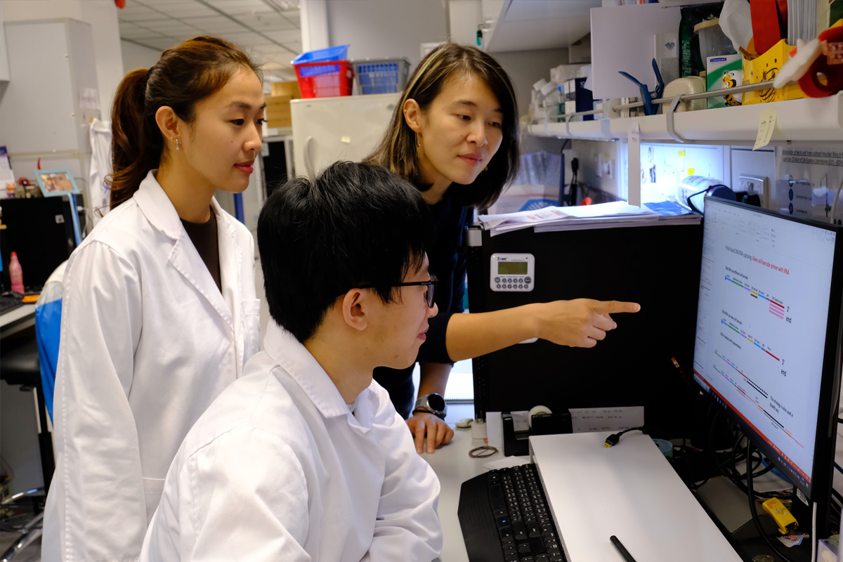 香港科技大學研究人員研發了一種可為冷凍和新鮮細胞組織樣本同時進行單細胞DNA和RNA測序的新技術。（香港科技大學）
