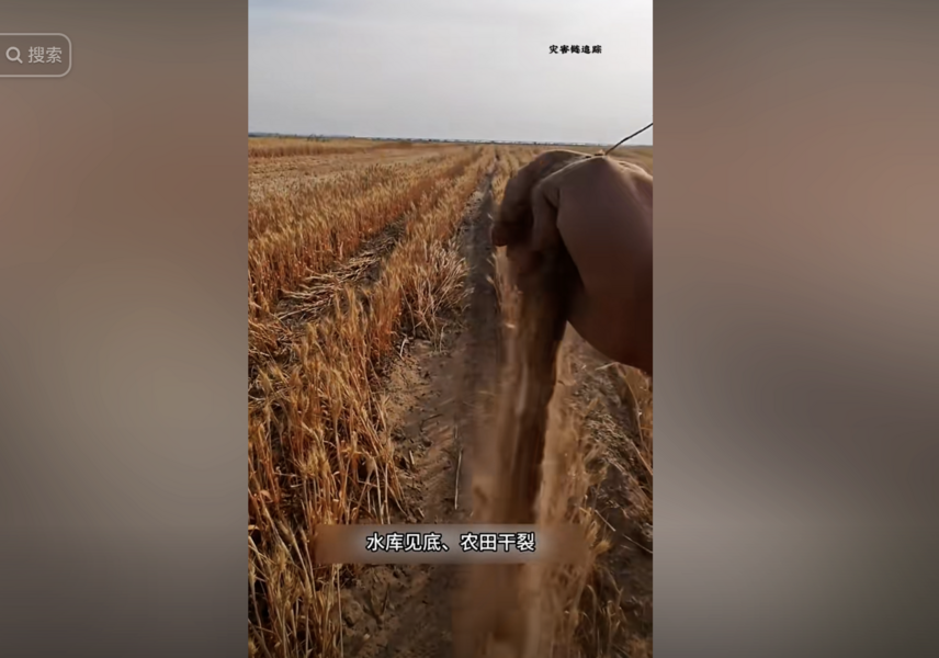 中國多地大旱衝擊農業 陝西土地如沙漠（影片）