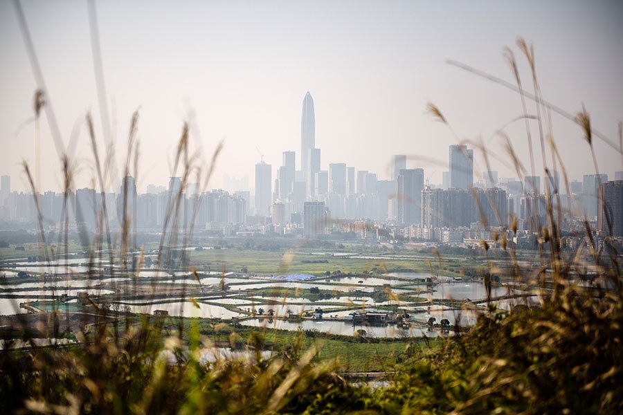 圖為從香港邊境眺望深圳市。（ANTHONY WALLACE/AFP/Getty Images）