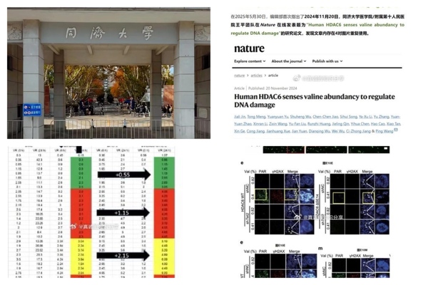 同濟大學生命科學院長《自然》論文被指造假