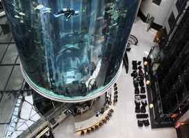 柏林錦江麗笙酒店水族箱爆裂 100萬升水湧出