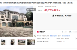 深圳一估值二億元別墅 6673萬宗拍沒人要