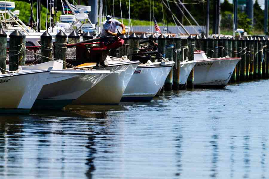 特朗普允許大西洋保護區捕魚 解除拜登時期限制