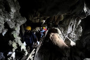 矮人存在過？菲律賓洞穴發現古人類新物種