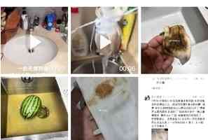 杭州官方宣稱自來水未檢出大腸菌群 再惹議