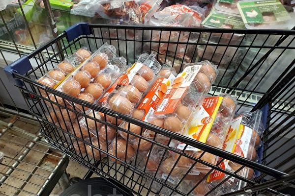 大陸雞蛋價罕見暴漲近八成 產能斷層危機所致