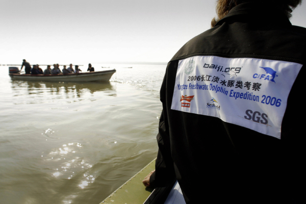 王維洛：評說中國科學研究中年輕一代的水平