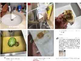 杭州多個小區自來水發臭 水務公司通報遭批