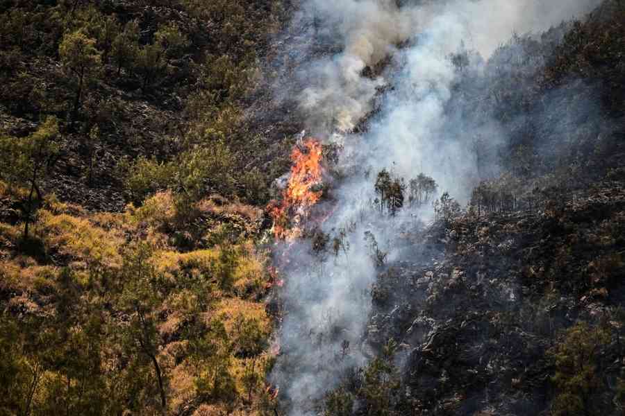 野火蔓延 印尼關閉布羅莫火山公園