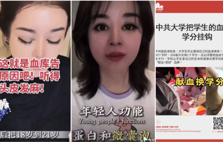 女富豪曝換少年血產業 海爾集團緊急切割