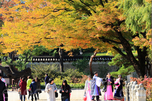 首爾古宮殿美麗秋景 遊客流連忘返