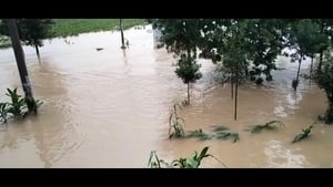 河南四水庫洩洪淹村 兩千村民被困無救援