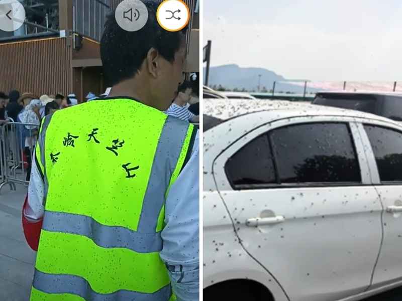 陝西江蘇景區遊客吐槽遭遇大量蟲子 衝上熱搜