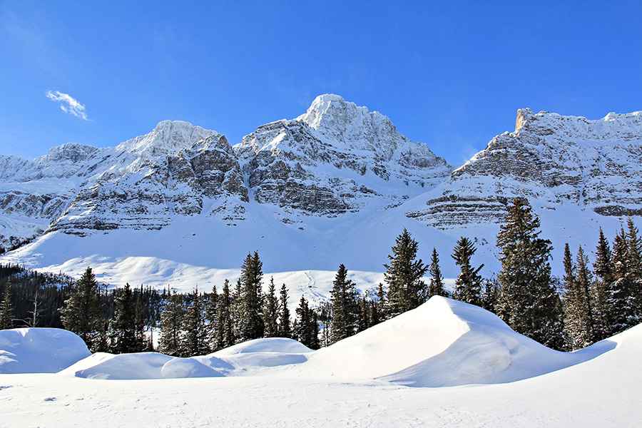 加州今年收穫的降雪量 達「天文數字」