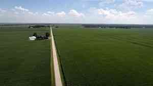 伊朗戰事打亂化肥供應 白宮考慮採取干預措施